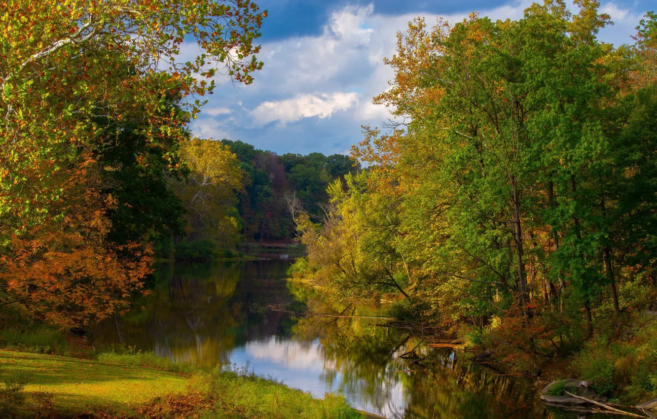 Photo wallpaper autumn, trees, river