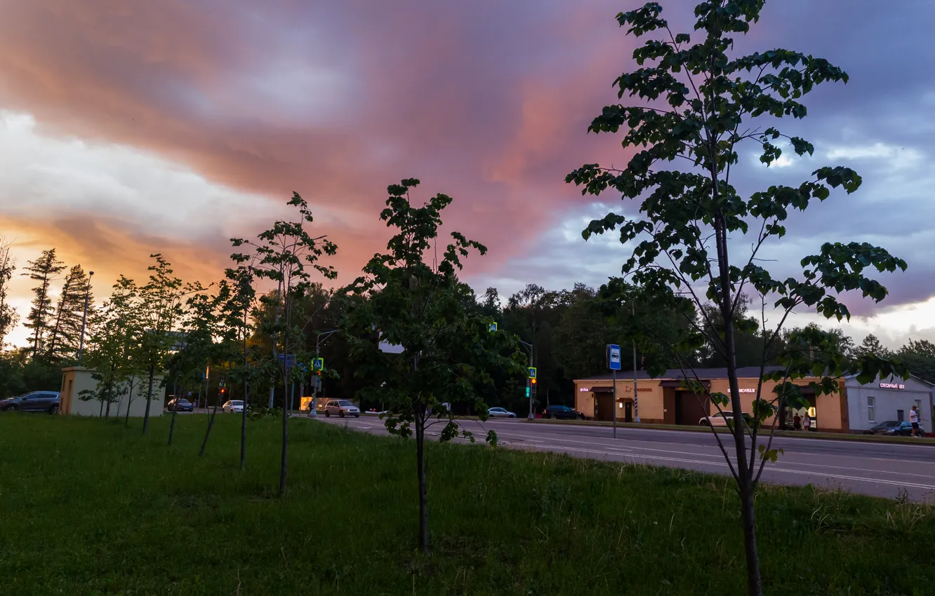 Photo wallpaper road, machine, the sky, trees, clouds, the city, overcast, people