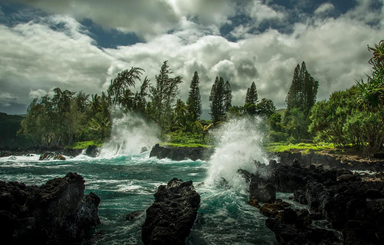 Photo wallpaper wave, clouds, landscape, nature, the ocean, rocks, shore, vegetation