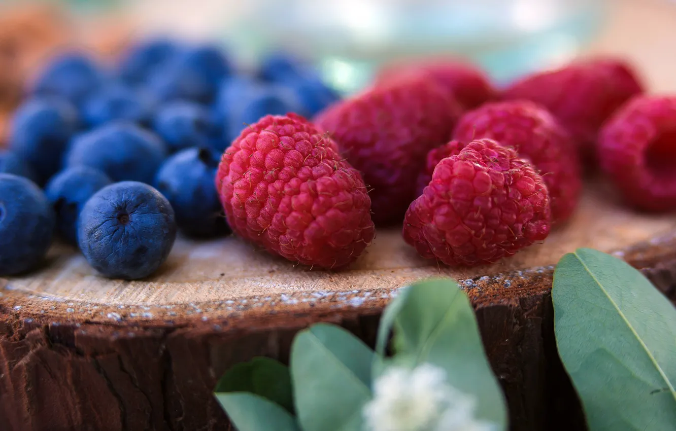 Photo wallpaper leaves, macro, berries, raspberry, stump, blueberries, bokeh, blueberries