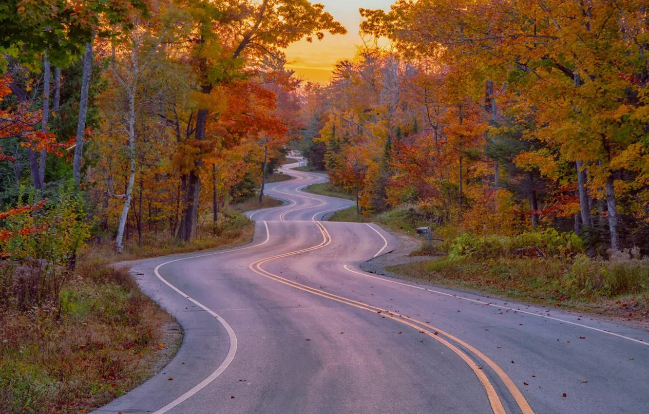 Photo wallpaper Road, Autumn, Beauty