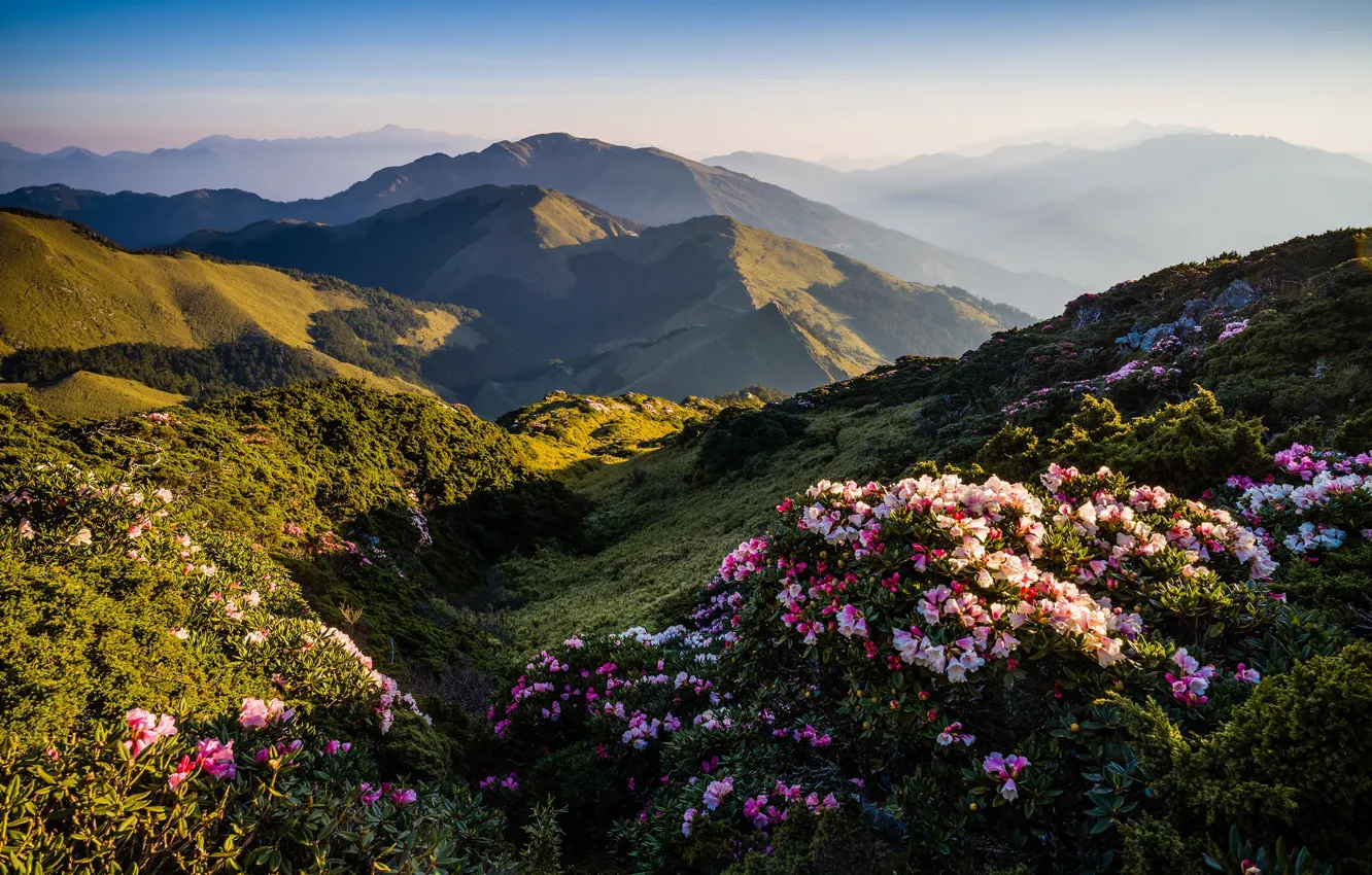 Photo wallpaper the sky, landscape, flowers, mountains, nature, fog, hills, Asia