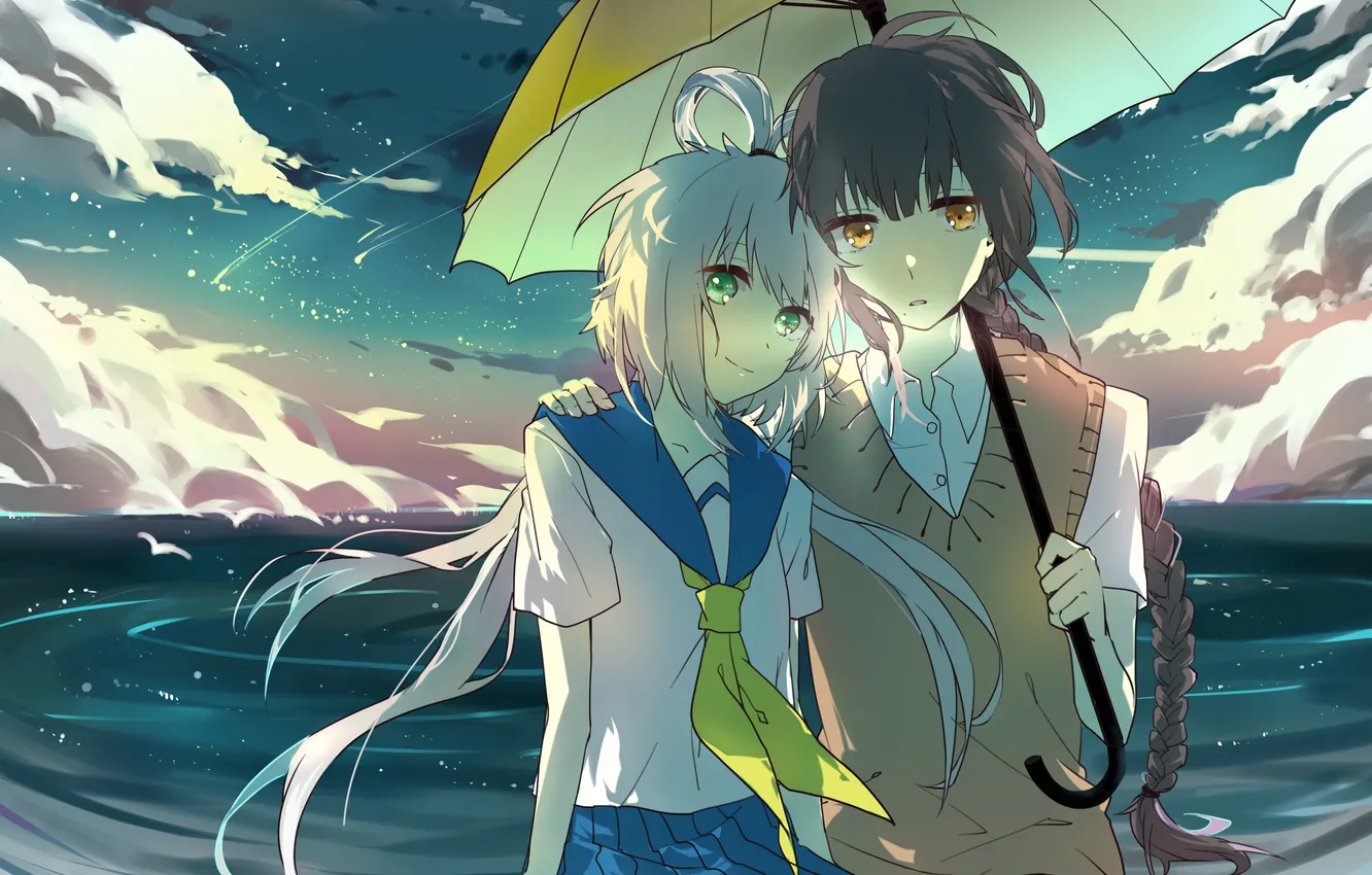 Photo wallpaper the sky, girl, clouds, bird, umbrella, anime, art, braids