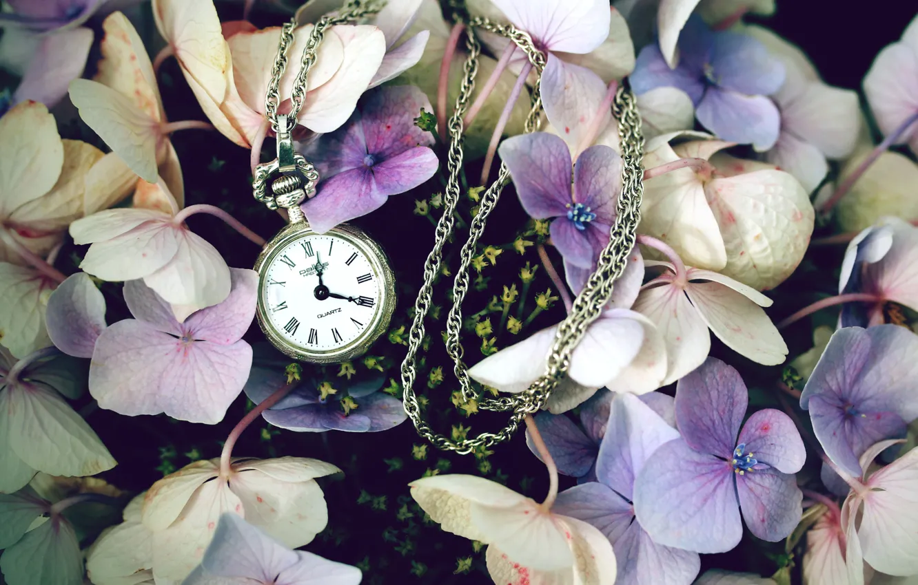 Photo wallpaper flowers, watch, field, lilac, pocket