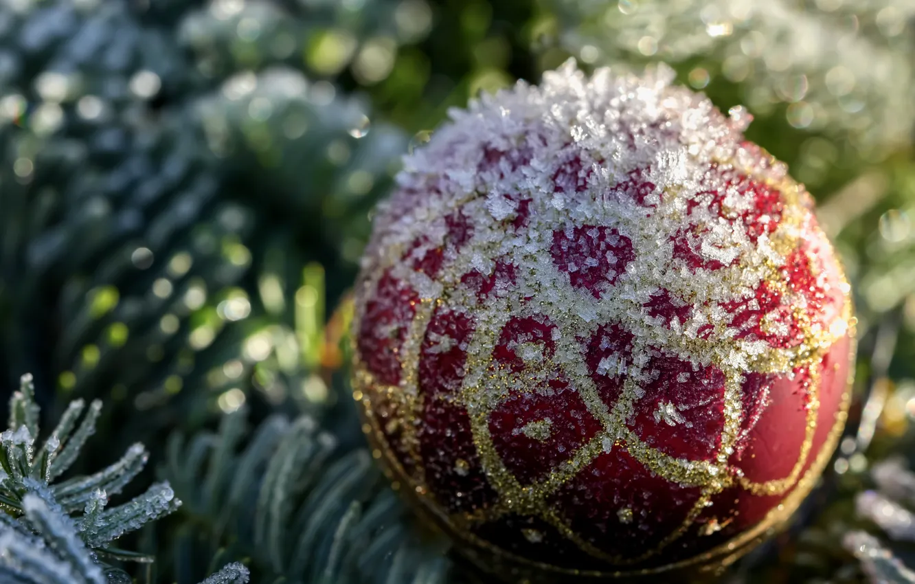 Photo wallpaper ice, frost, balls, snow, branches, red, balls, tree