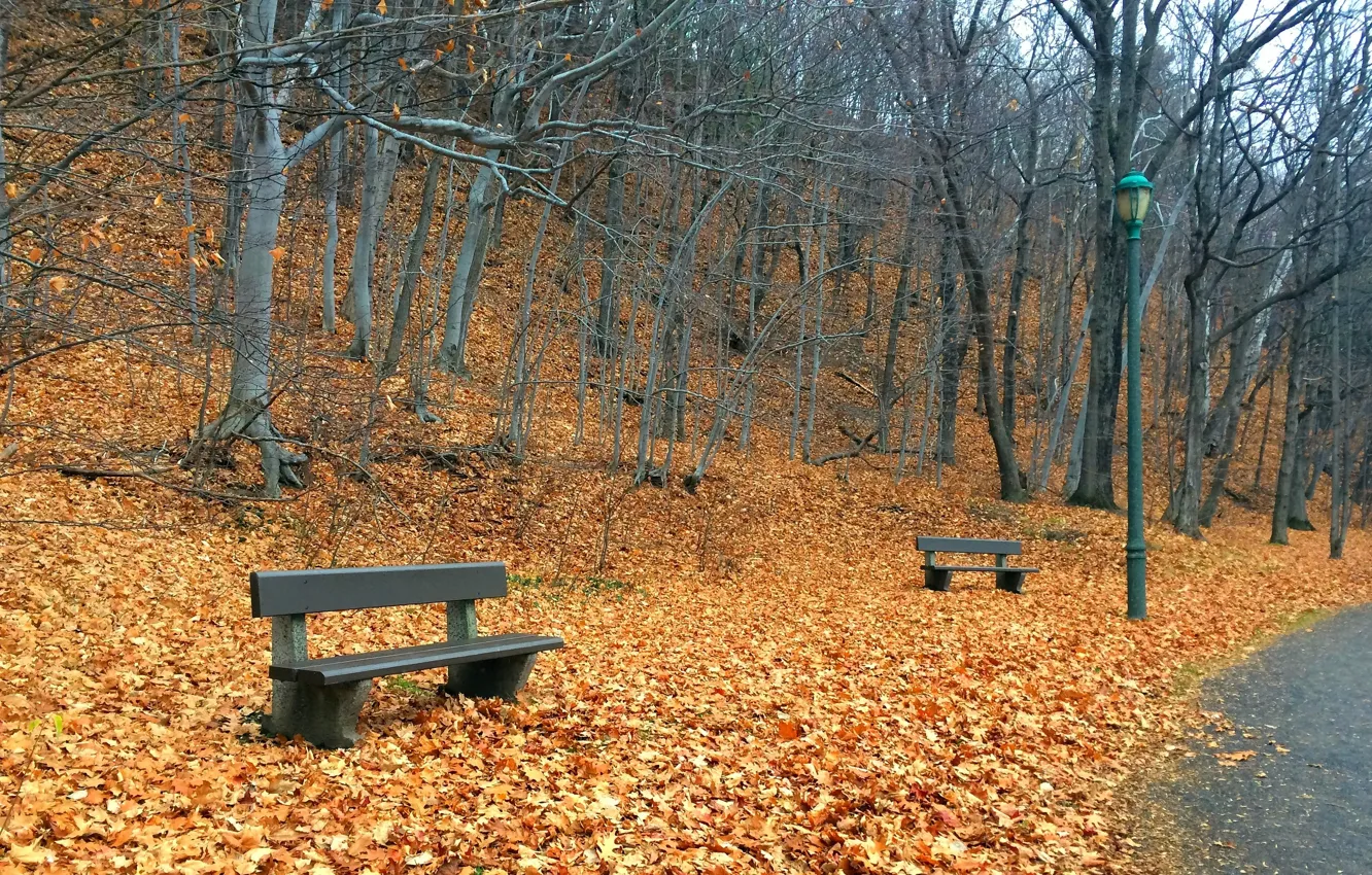 Photo wallpaper autumn, the city, Park, bench