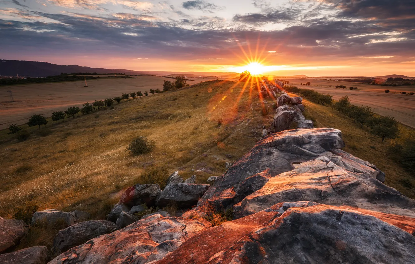 Photo wallpaper field, the sky, the sun, clouds, rays, trees, landscape, sunset