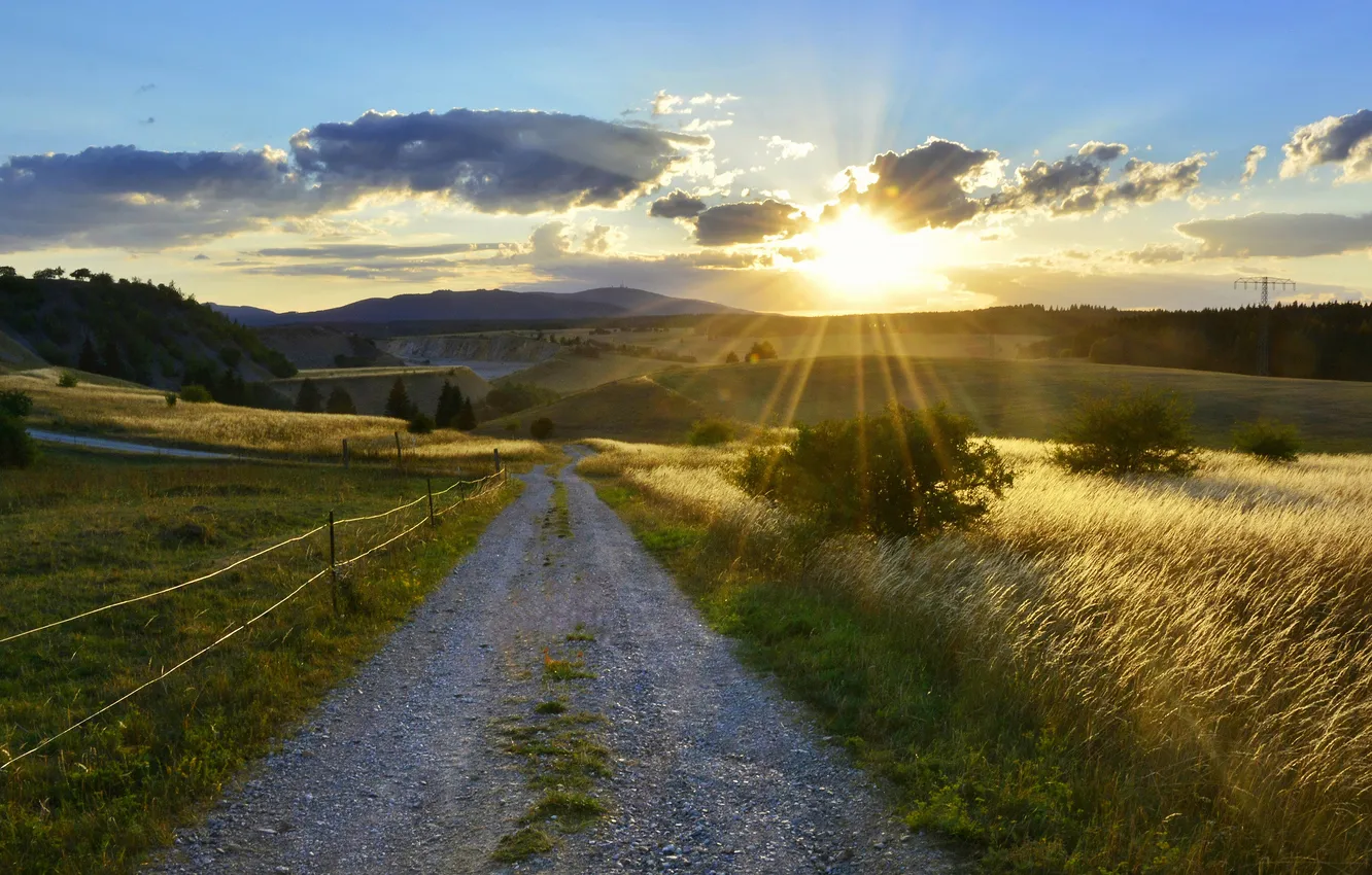 Photo wallpaper road, field, forest, the sun, clouds, rays, light, sunset