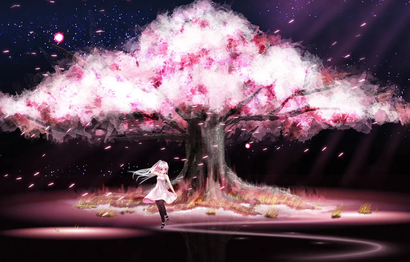 Photo wallpaper the sky, girl, stars, trees, the wind, petals, Sakura, flowering