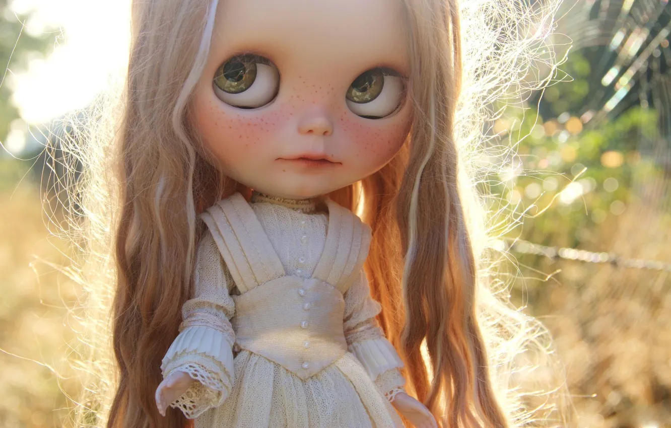 Photo wallpaper face, mood, hair, toy, doll, dress, freckles