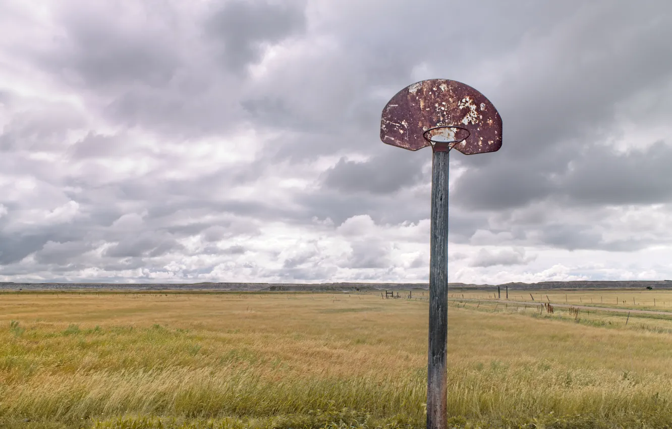 Photo wallpaper field, Basketball, shield