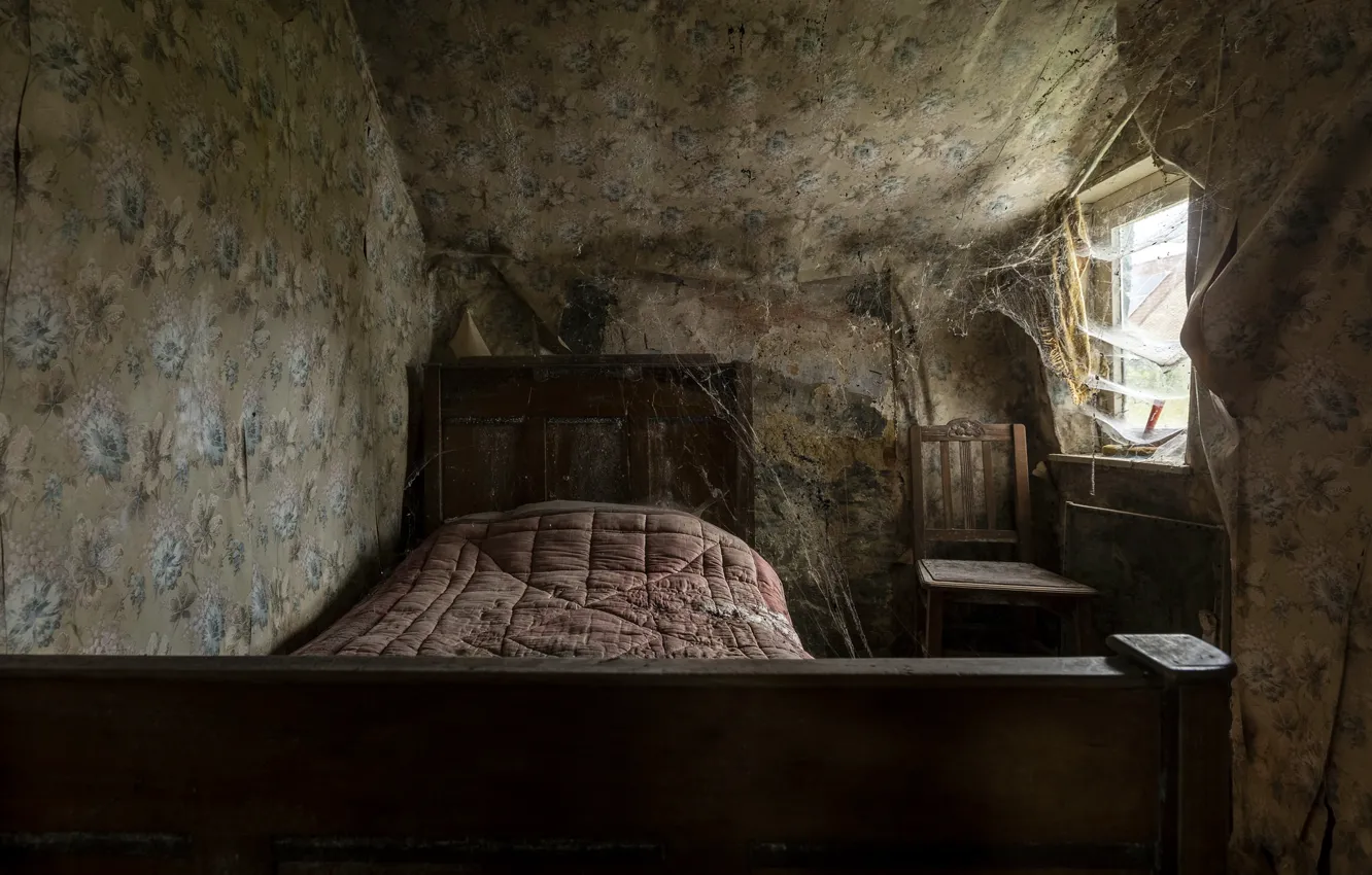 Photo wallpaper room, bed, window, web