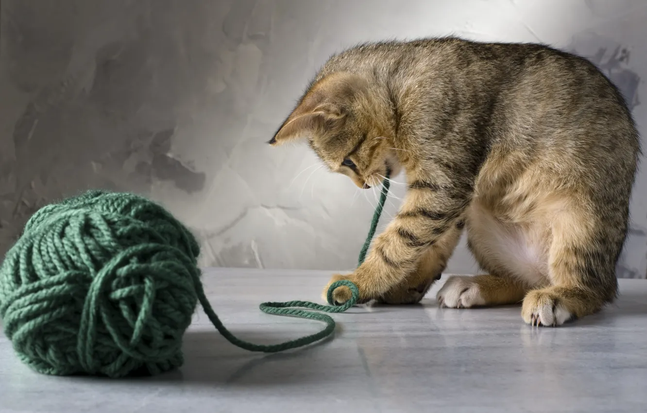 Photo wallpaper cat, cat, tangle, kitty, green, thread, plays, striped