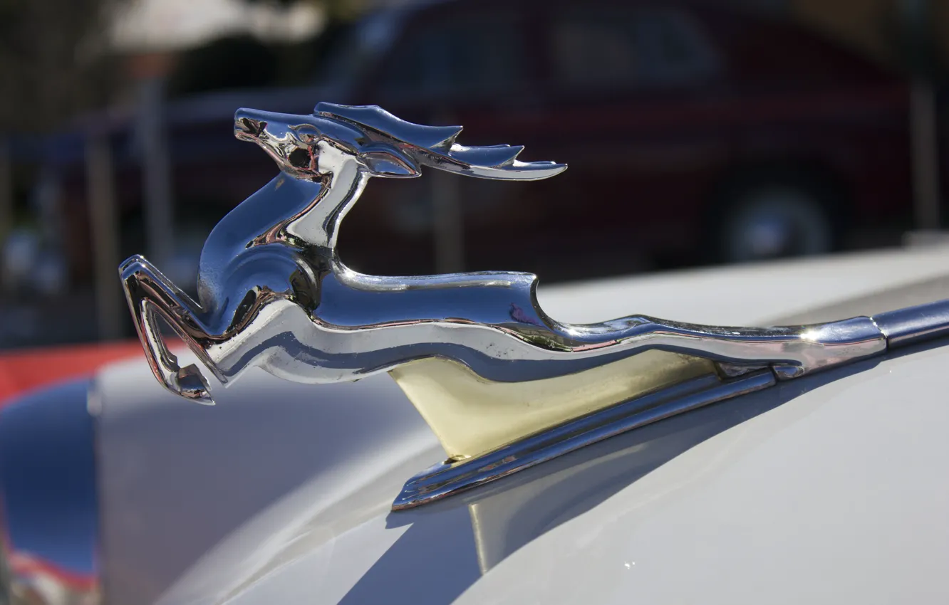 Photo wallpaper victory, focus, deer, chrome