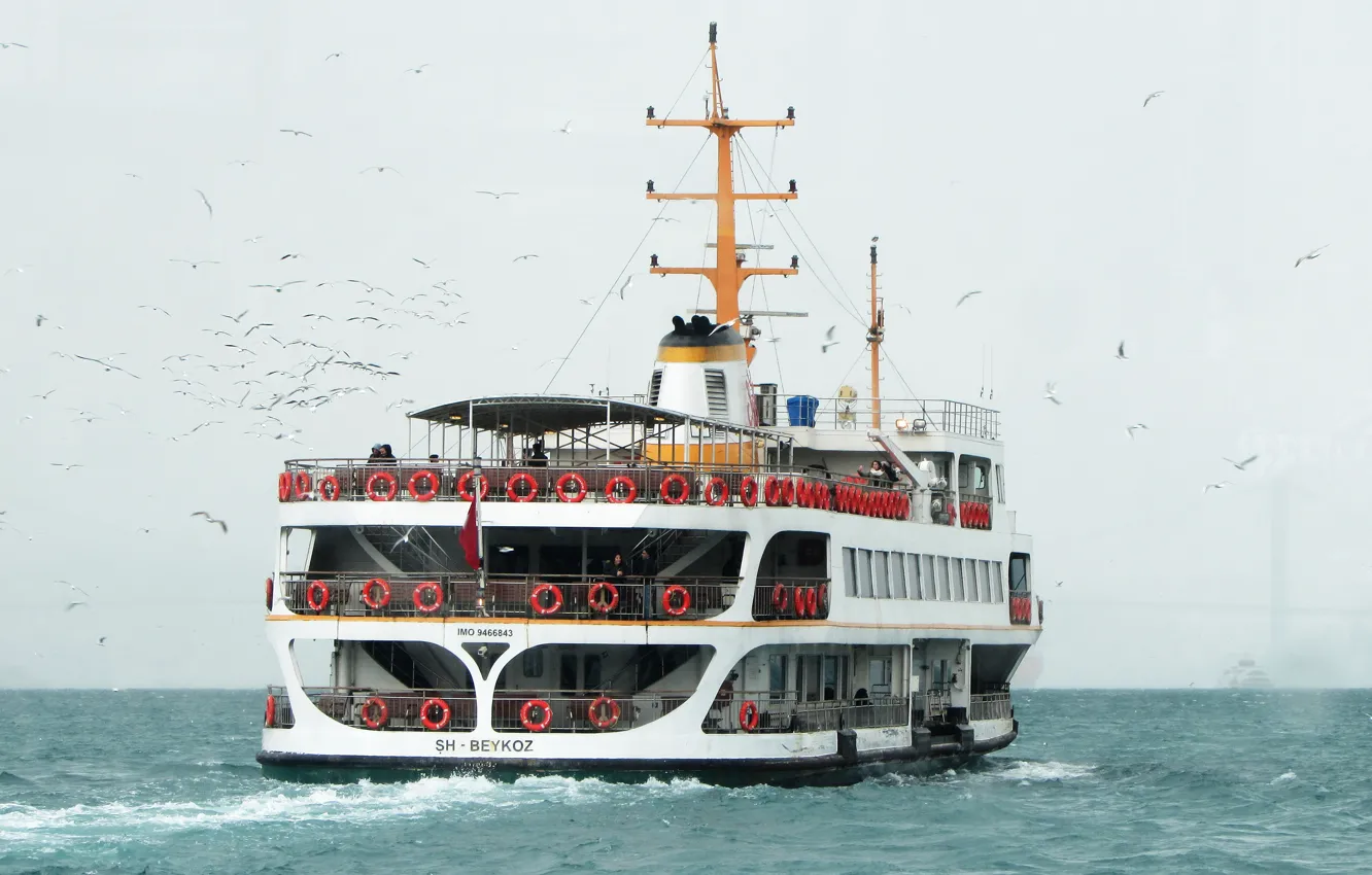 Photo wallpaper The ocean, Sea, The ship, Seagulls, Feed, Vessel, Passenger Ship, SH BEYKOZ