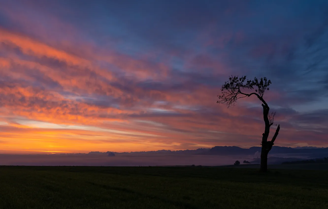 Photo wallpaper field, the sky, clouds, sunset, mountains, tree, silhouette, space