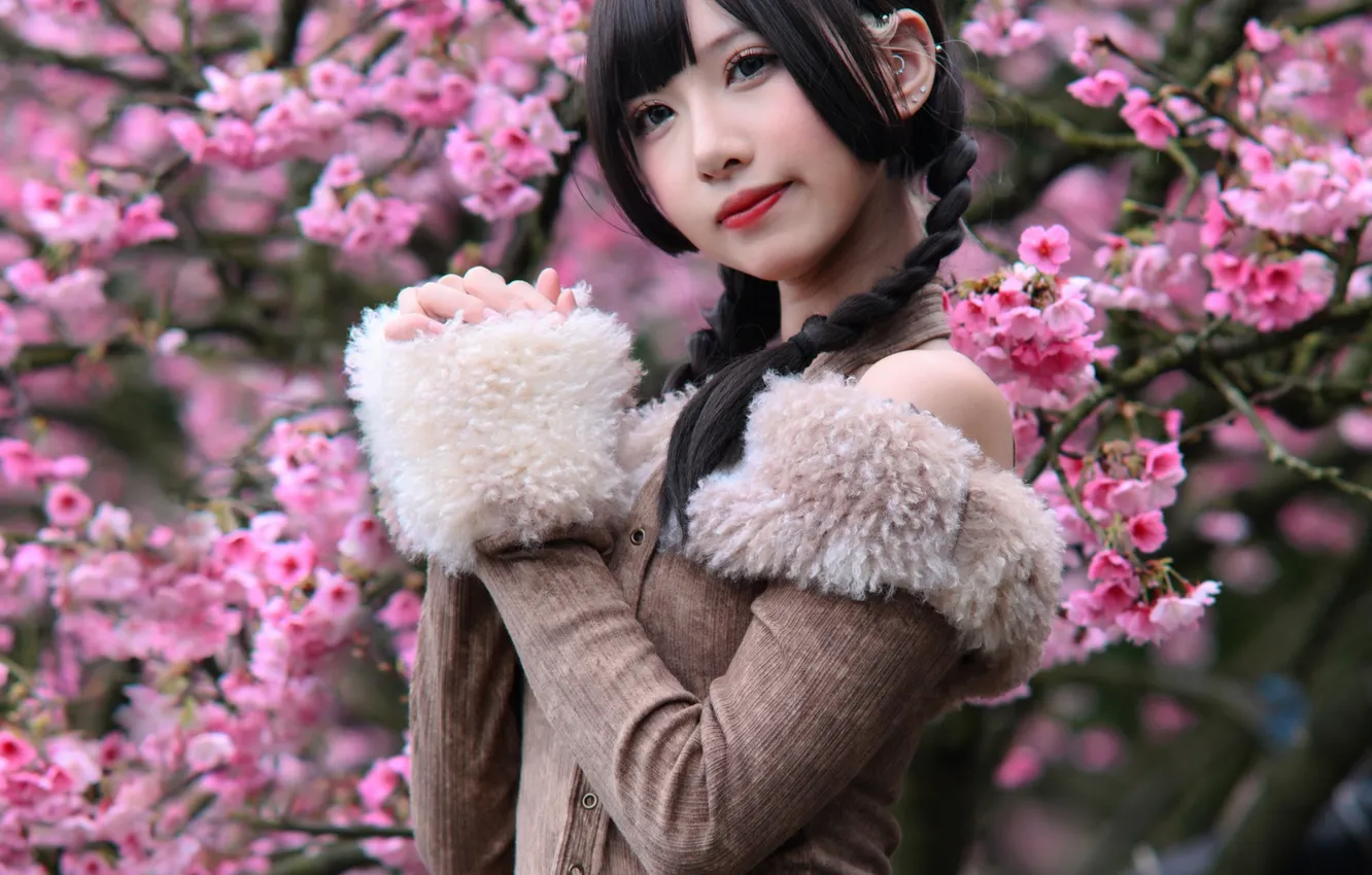 Photo wallpaper Sakura, jacket, Asian, flowering trees