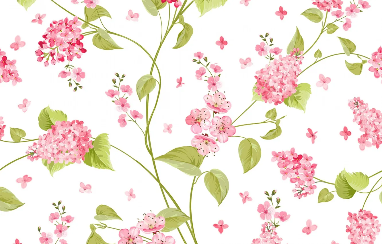 Photo wallpaper flowers, white background, lilac