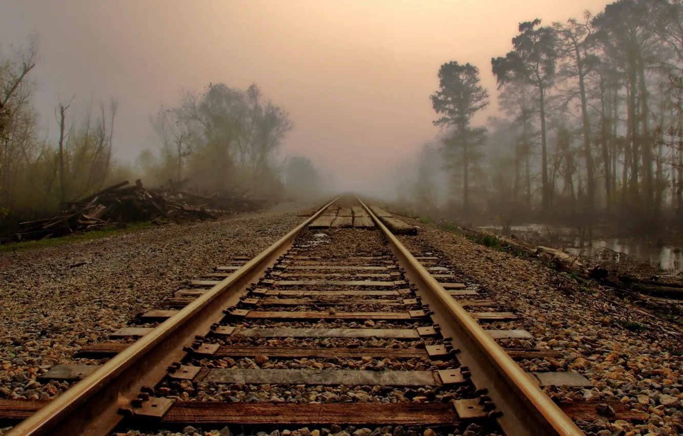 Photo wallpaper fog, the way, rails, morning, railroad