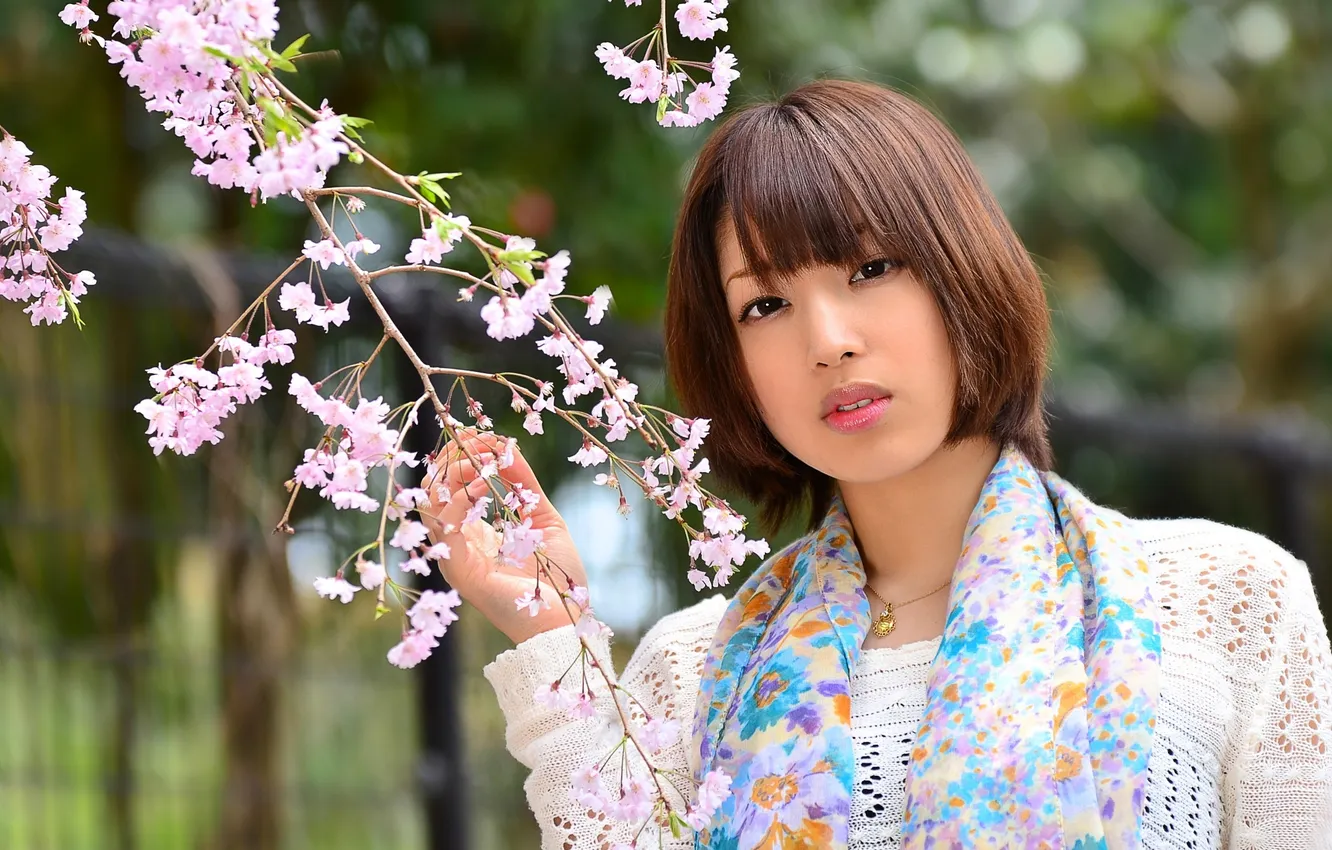 Photo wallpaper look, face, clothing, Sakura, hairstyle, Asian