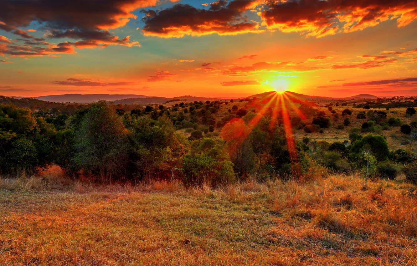 Photo wallpaper the sky, grass, the sun, clouds, rays, trees, sunset, hills