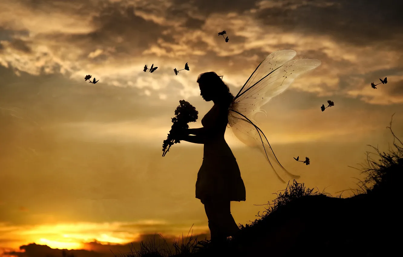 Photo wallpaper girl, sunset, birds, butterfly