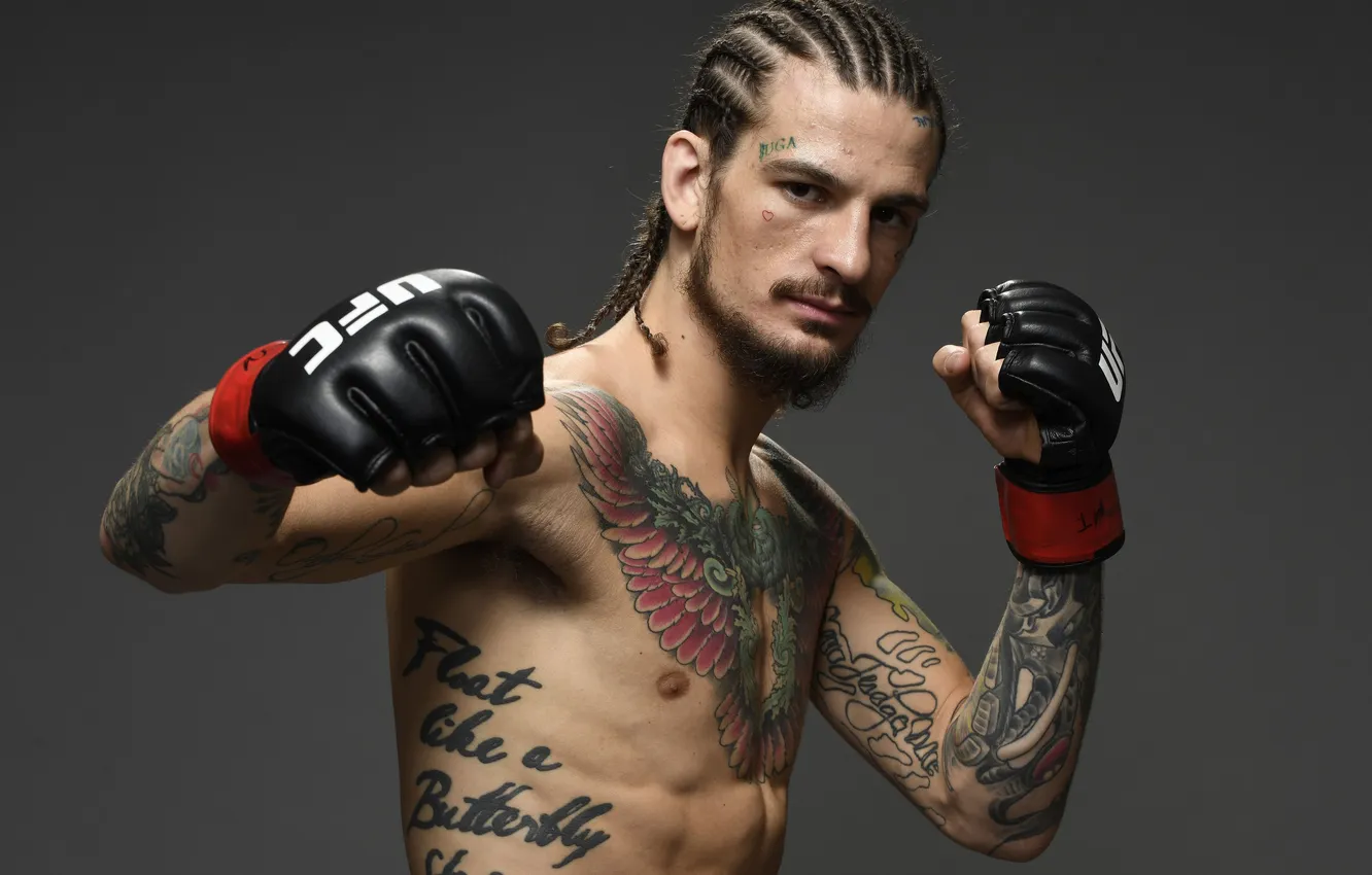 Photo wallpaper fighter, tattoo, UFC, Sean O'Malley, Sean O'Malley