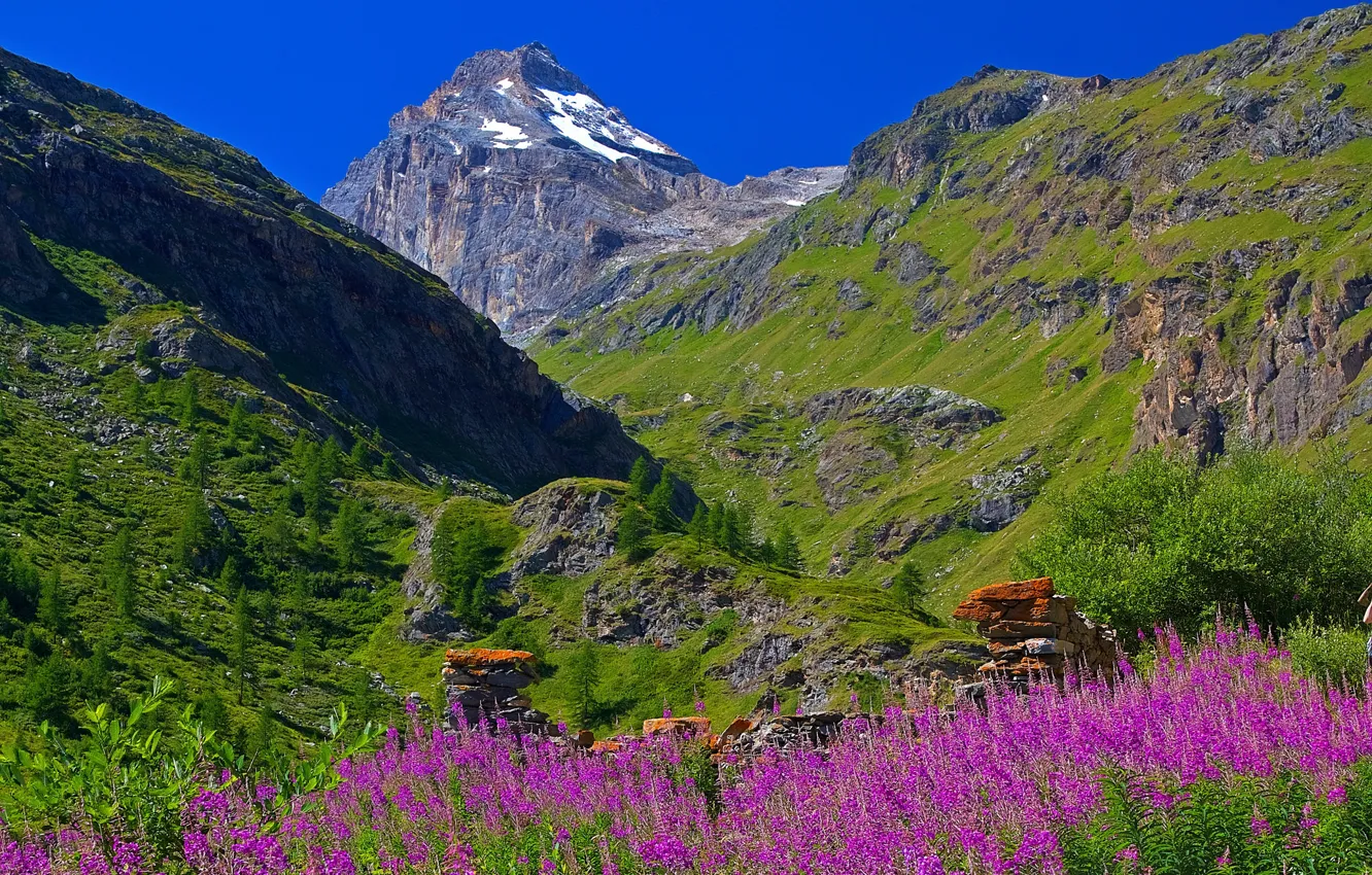 Photo wallpaper the sky, flowers, mountains, Italy, Valle d'aosta