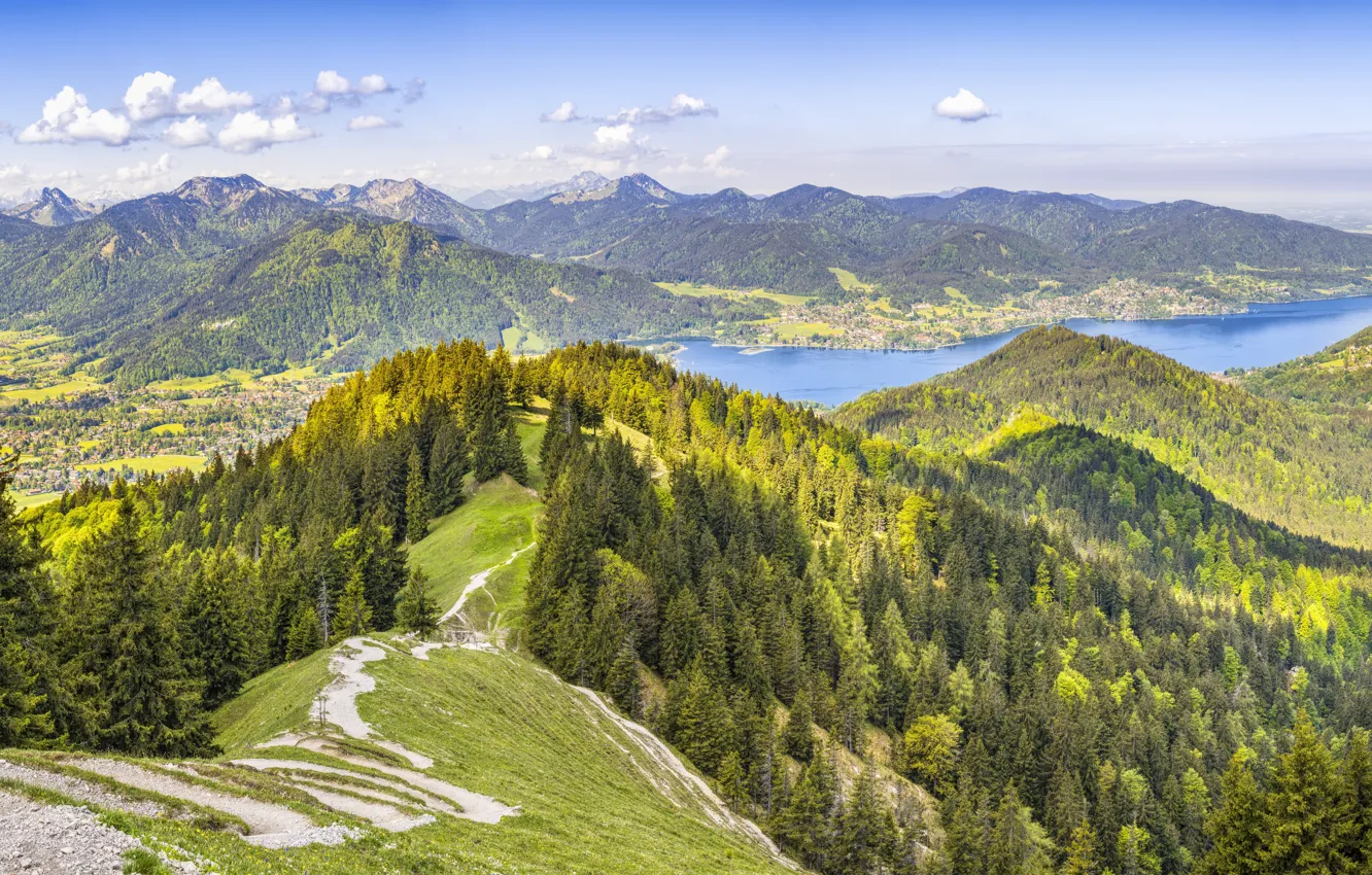 Photo wallpaper forest, mountains, nature, Alps, panorama
