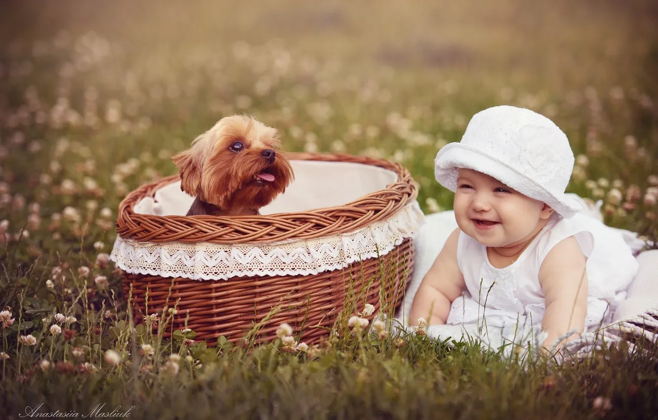 Photo wallpaper children, basket, dog, girl, basket
