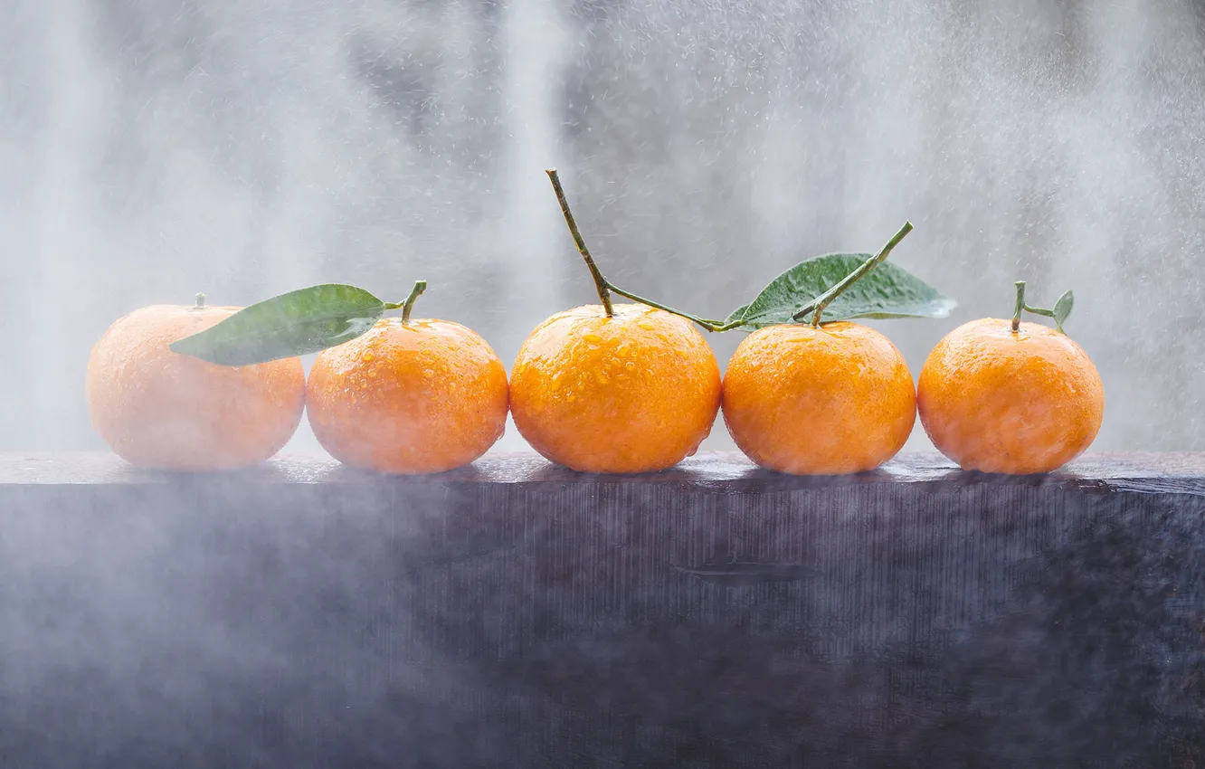 Photo wallpaper leaves, drops, fog, pair, haze, tangerines