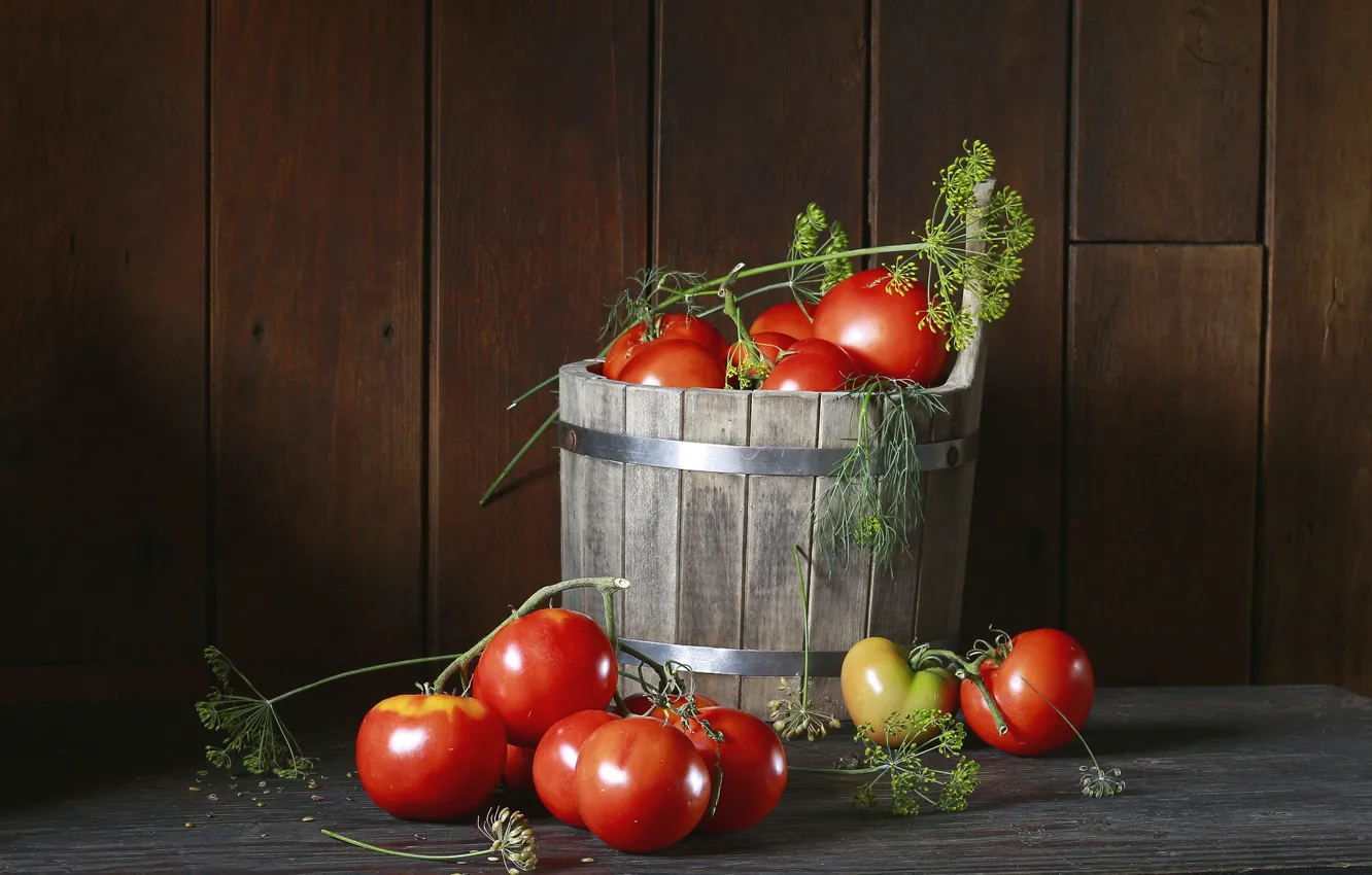 Photo wallpaper table, Board, dill, still life, tomatoes, tomatoes, the barrel