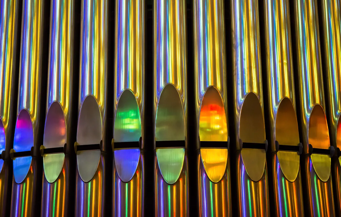 Photo wallpaper music, background, body