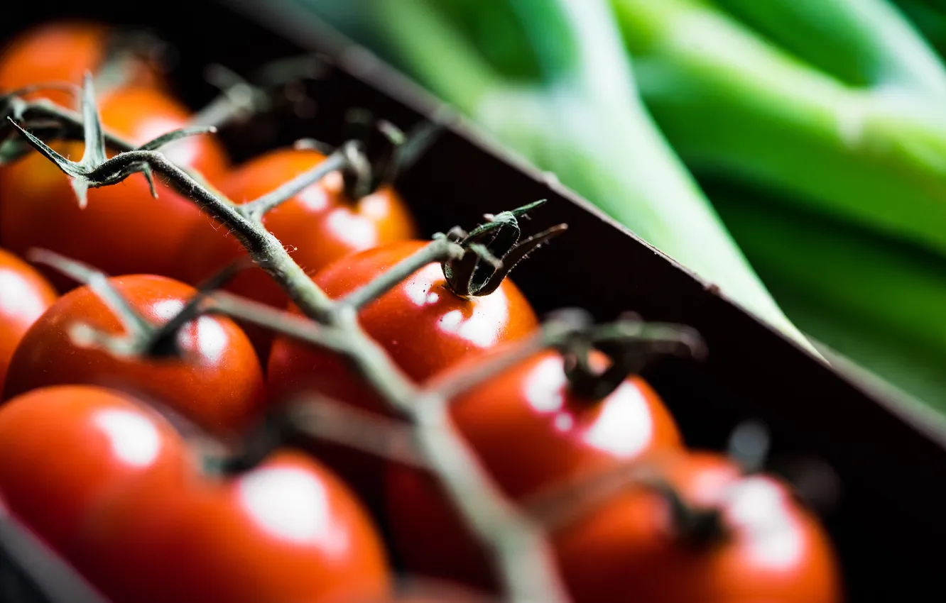 Photo wallpaper red, tomatoes, close-up view