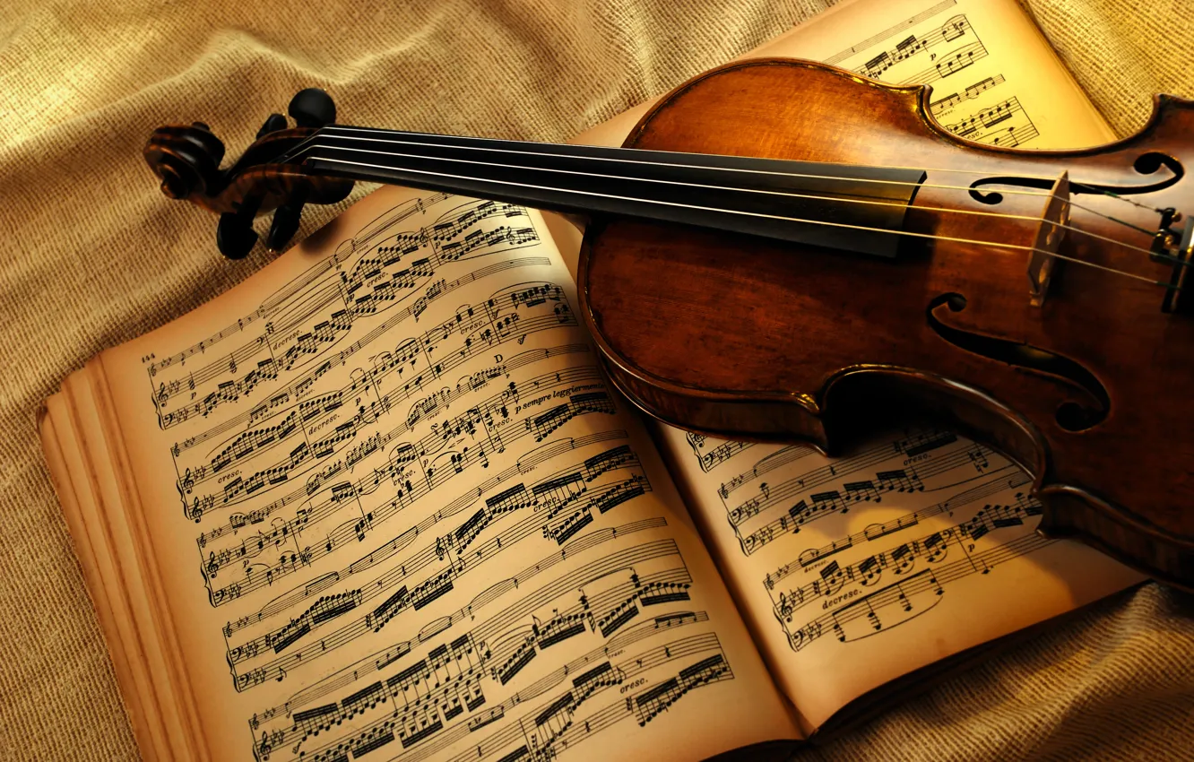 Photo wallpaper notes, violin, book