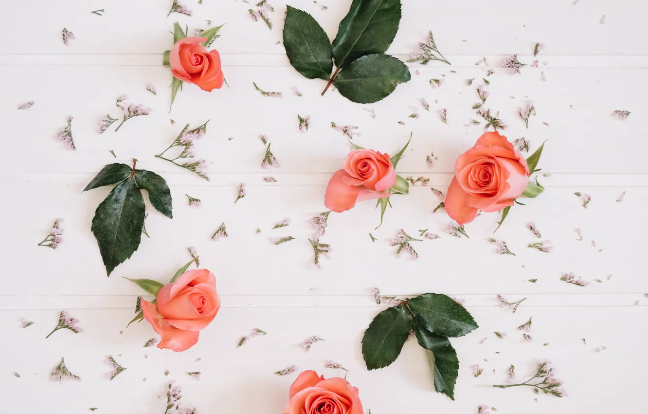Photo wallpaper flowers, pink, roses, petals