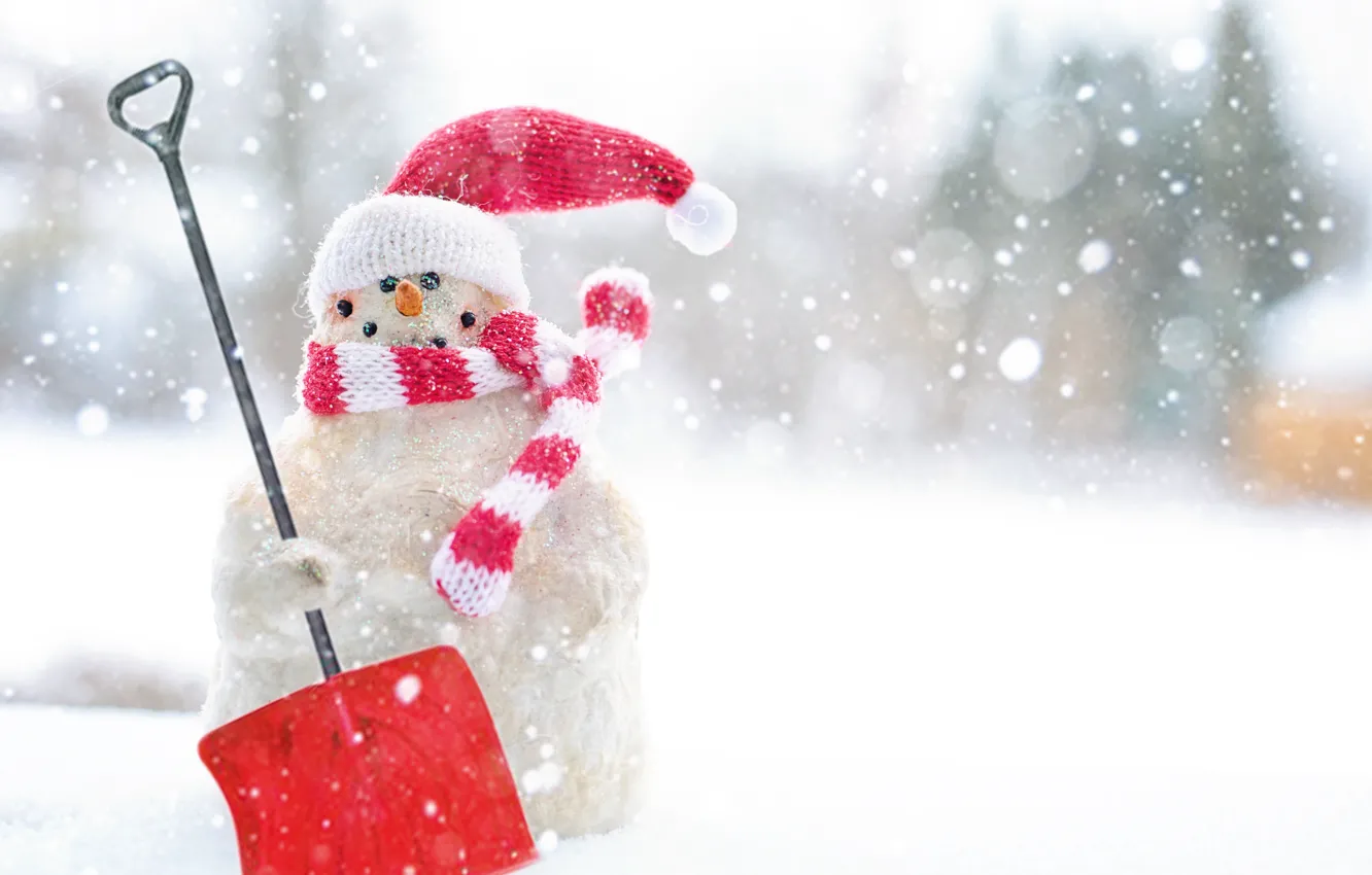 Photo wallpaper winter, white, snow, red, nature, background, holiday, toy