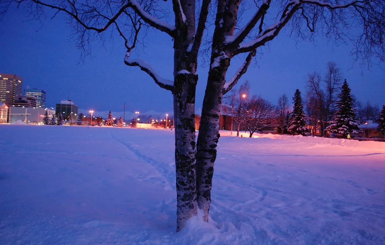Photo wallpaper winter, snow, the city, Alaska, Anchorage, Night Falls on the Park Strip