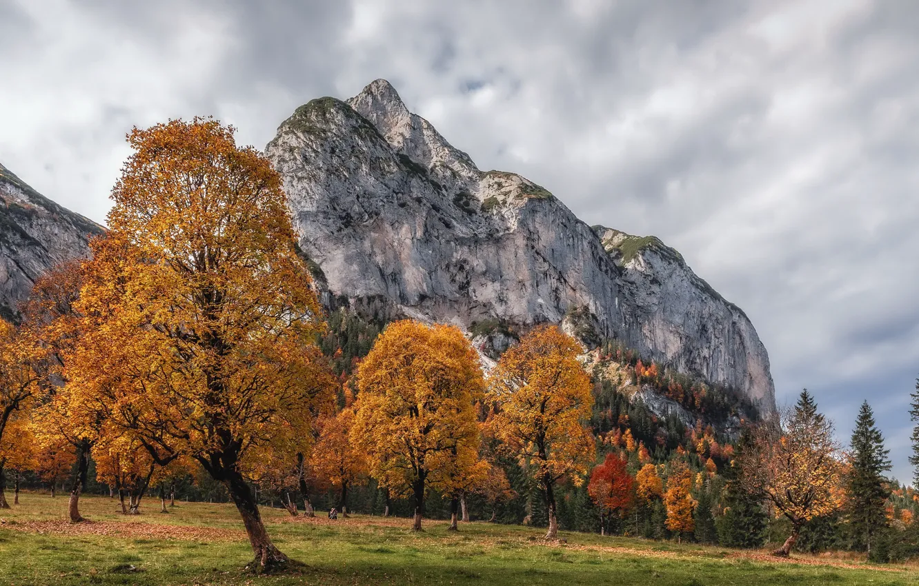 Photo wallpaper autumn, nature, mountain