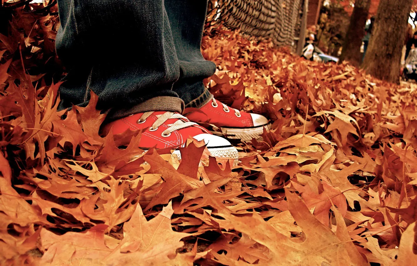 Photo wallpaper autumn, leaves, sneakers