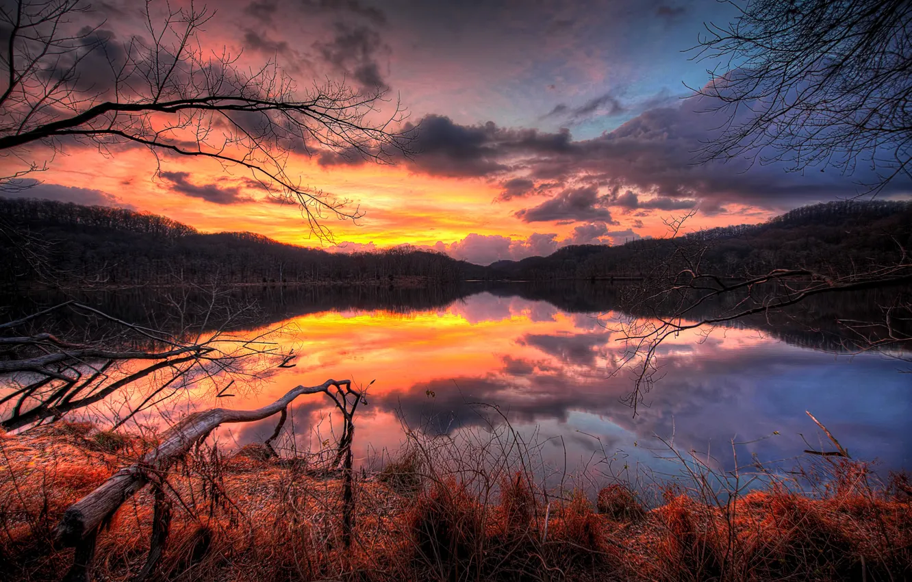 Photo wallpaper forest, the sky, water, clouds, trees, sunset, branches, lake