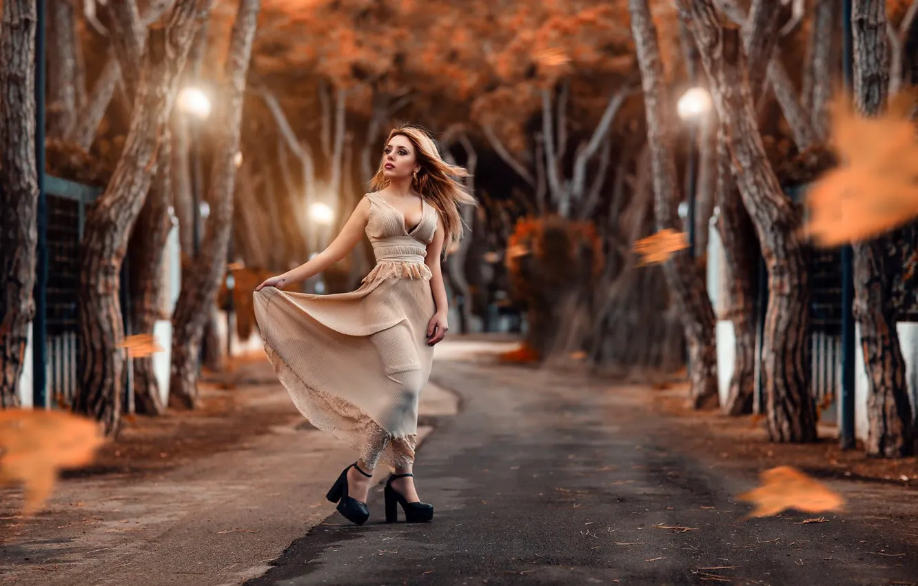Photo wallpaper road, autumn, leaves, girl, trees, pose, mood, dress