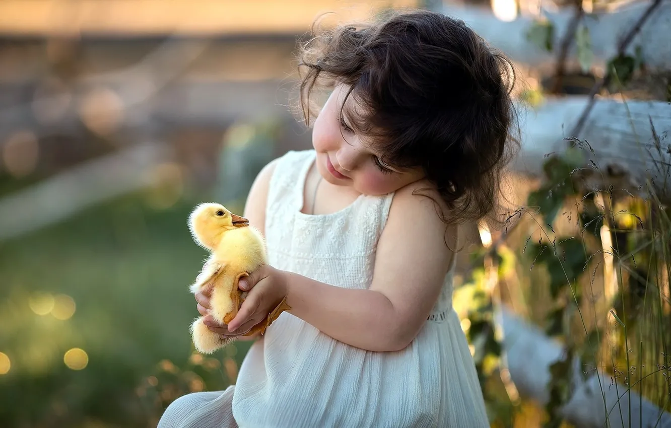 Photo wallpaper mood, girl, duck