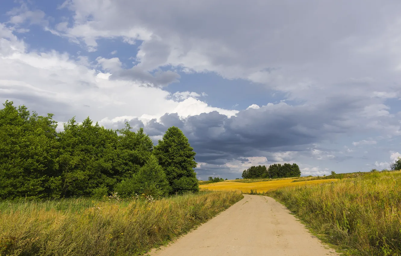 Photo wallpaper road, field, forest, summer, the sky, grass, clouds, the way