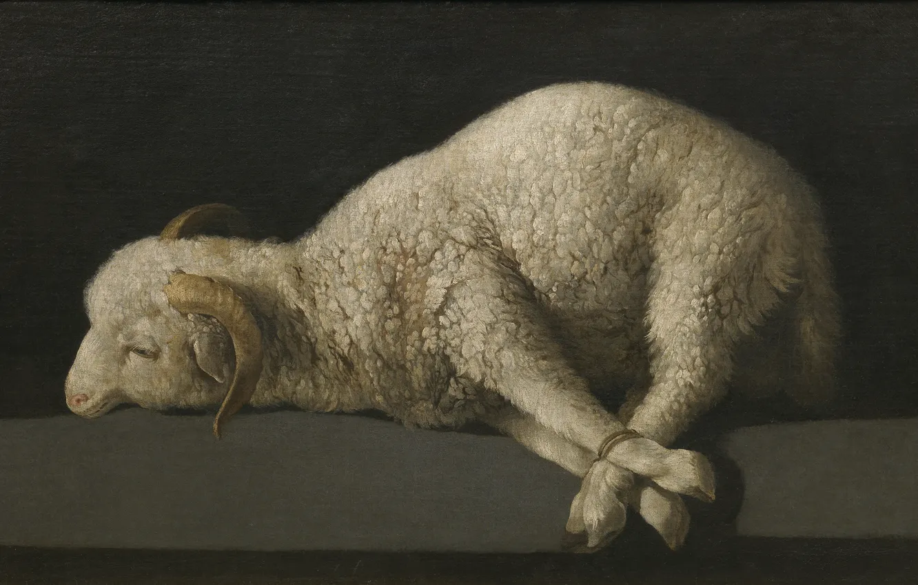 Photo wallpaper The Lamb Of God, Francisco de Zurbaran, 1635-1640