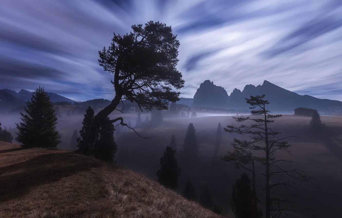 Photo wallpaper the sky, clouds, mountains, fog, the atmosphere, Alps, twilight, pine