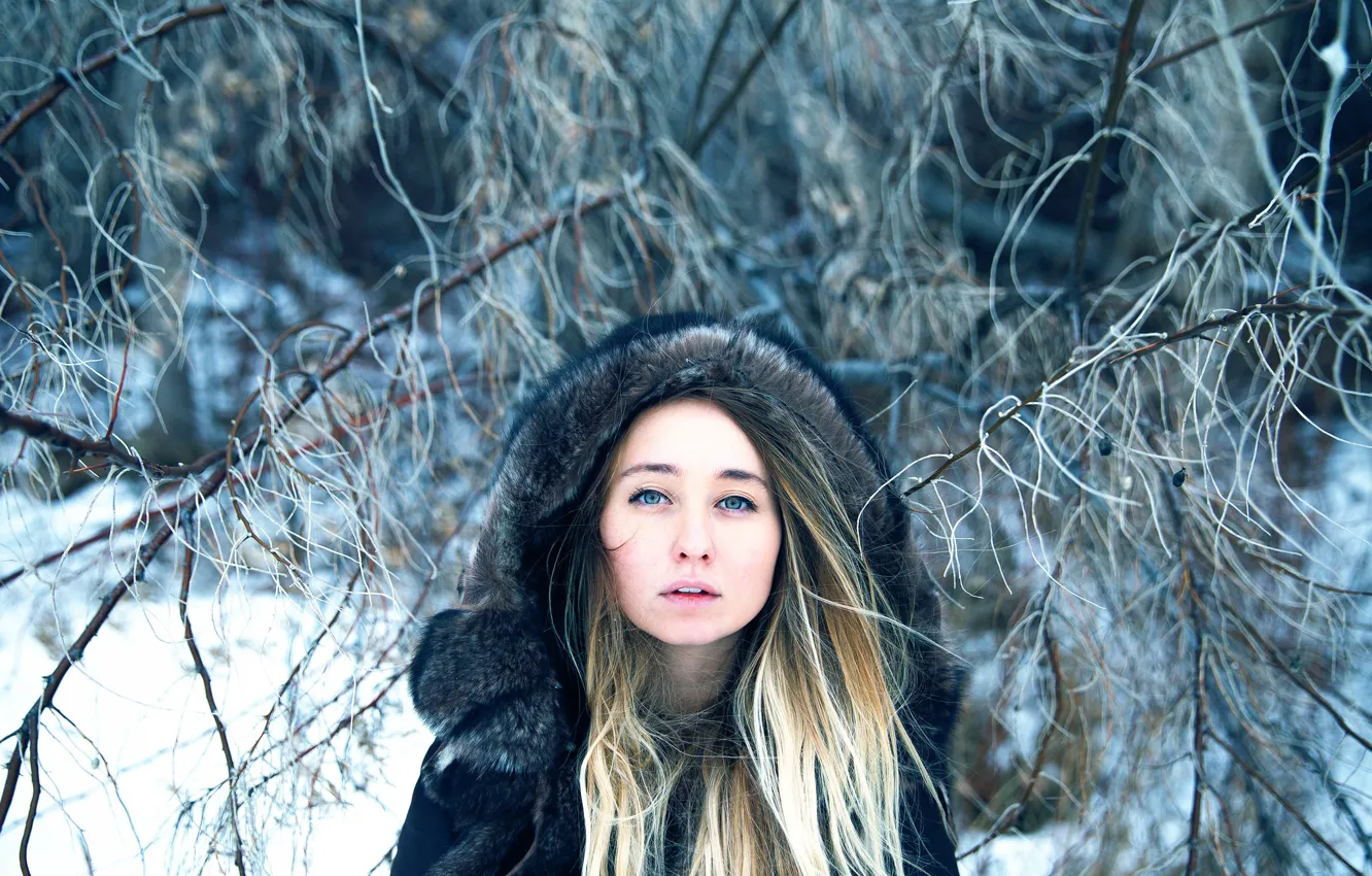 Photo wallpaper look, hood, Lichon, Self-portrait