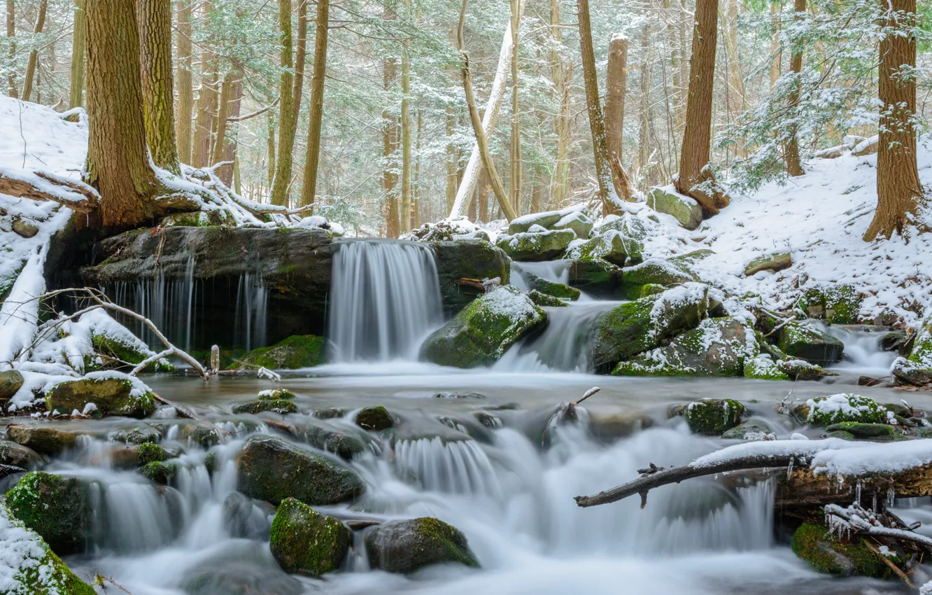 Photo wallpaper Nature, Winter, Waterfall, Trees, River, Snow, Forest