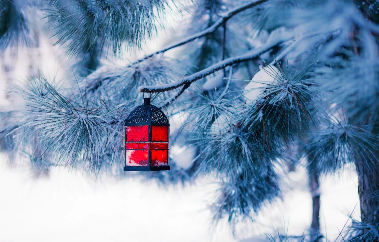 Photo wallpaper winter, snow, tree, new year, Christmas, lantern