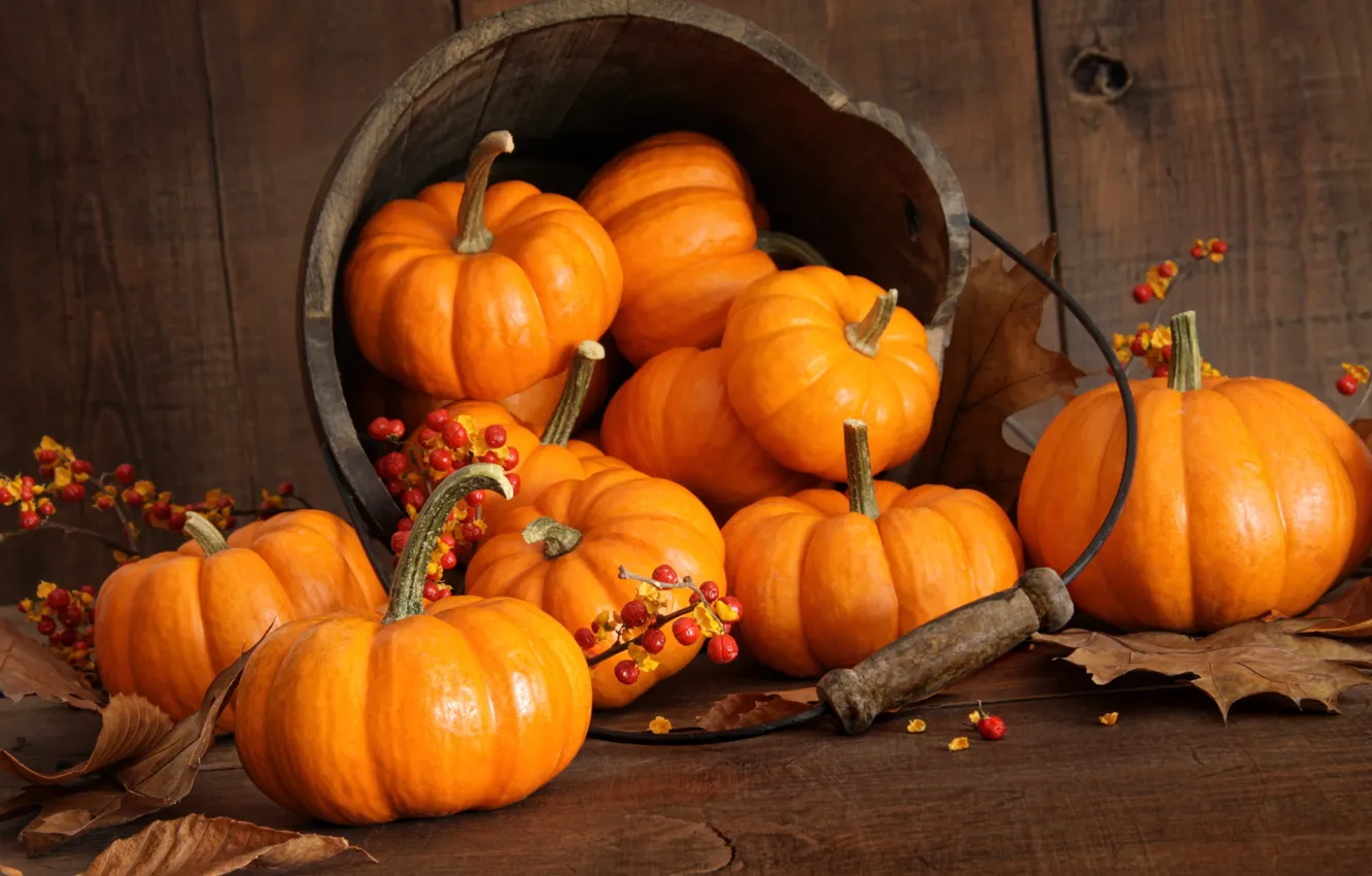 Photo wallpaper Board, harvest, bucket, pumpkin, pumpkin